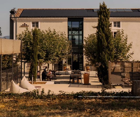 Escapade dans les vignes en duo