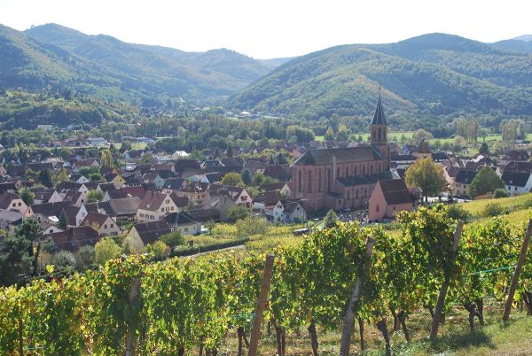 Coffret Vignoble et Gourmandise