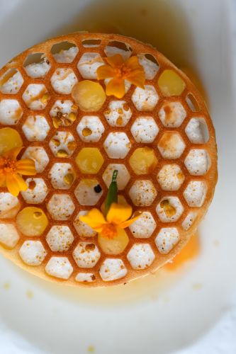Menu Déjeuner