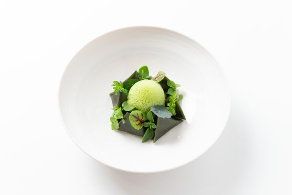 Le Menu Imprégnation en 10 haltes