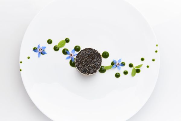 Menu Le Chant des Saveurs avec accords mets-vins - 5 actes