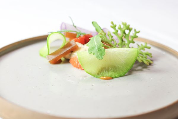 Menu Dégustation en 7 séquences