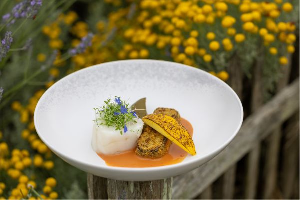 MENU DÉGUSTATION