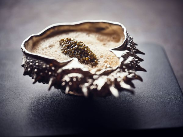 Coffret Dégustation