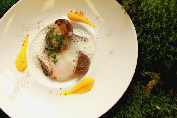 Menu Végétal