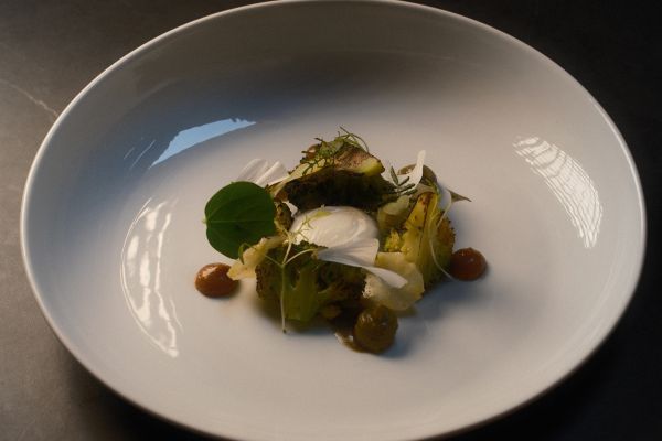 APÉRITIF + MENU EN 6 TEMPS + ACCORD METS ET VINS